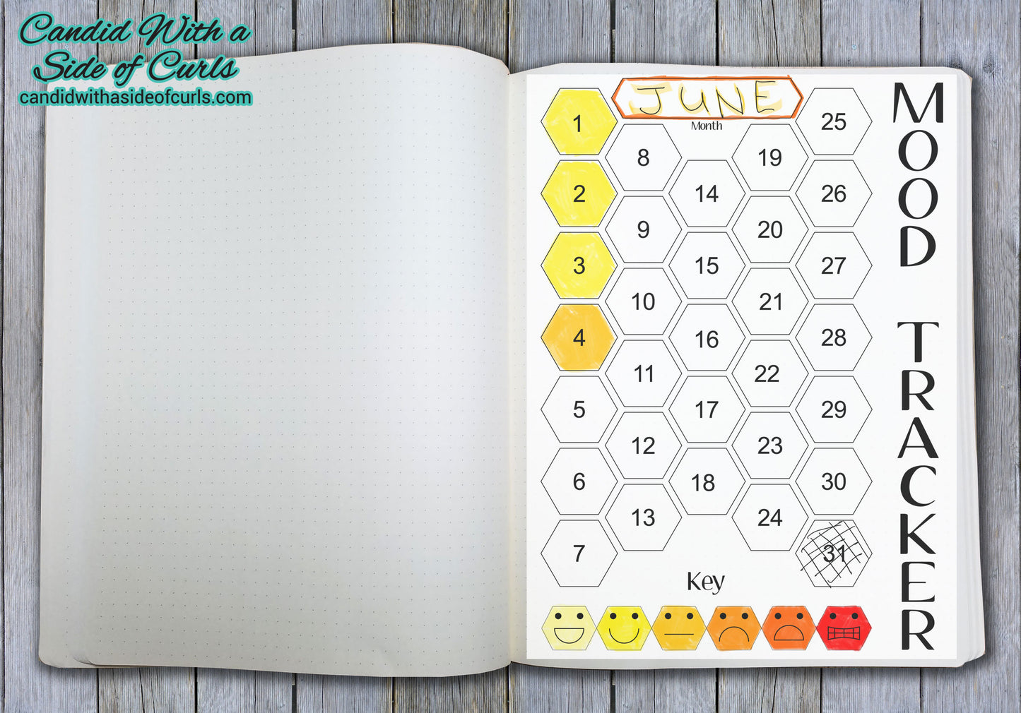 Hexagon Monthly Mood Tracker Bullet Journal-Printable Pages