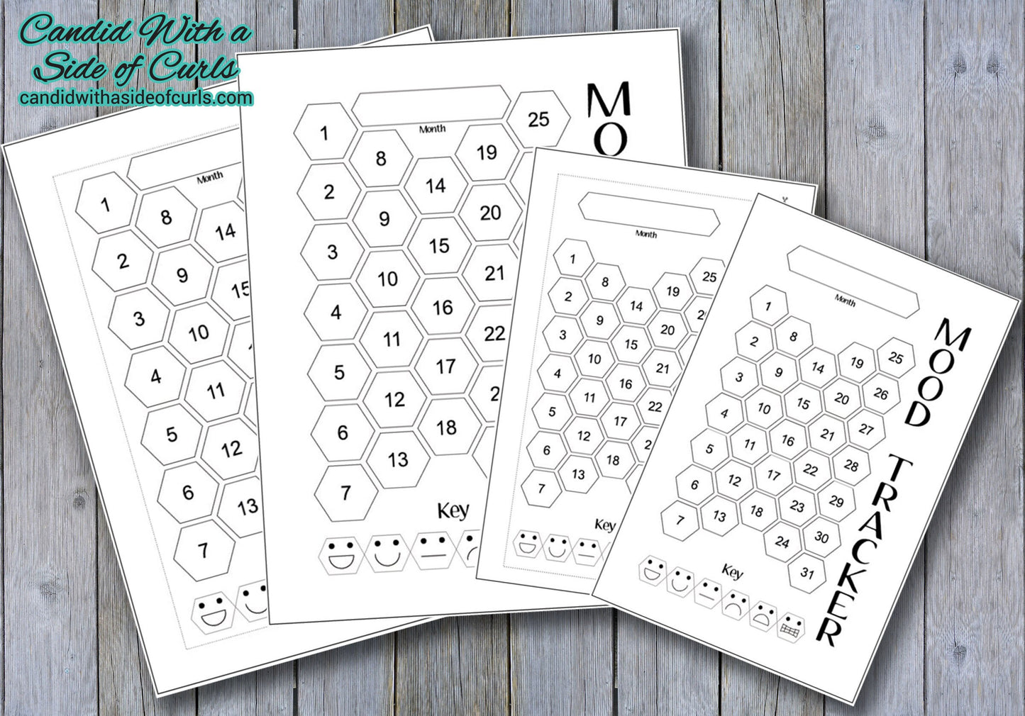 Hexagon Monthly Mood Tracker Bullet Journal-Printable Pages