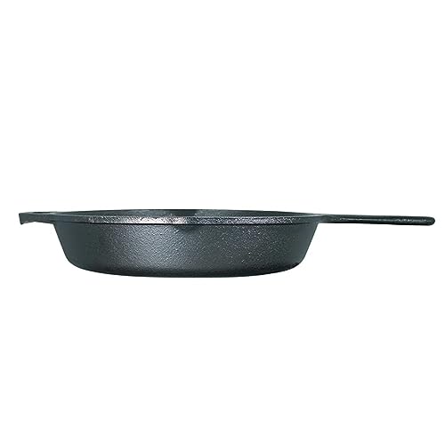 Lodge 10.25 Inch Cast Iron Pre-Seasoned Skillet