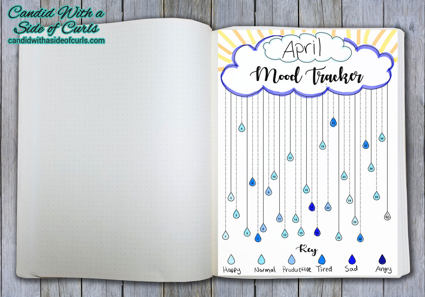 Rain Cloud Monthly Mood Tracker Bullet Journal-Printable Pages